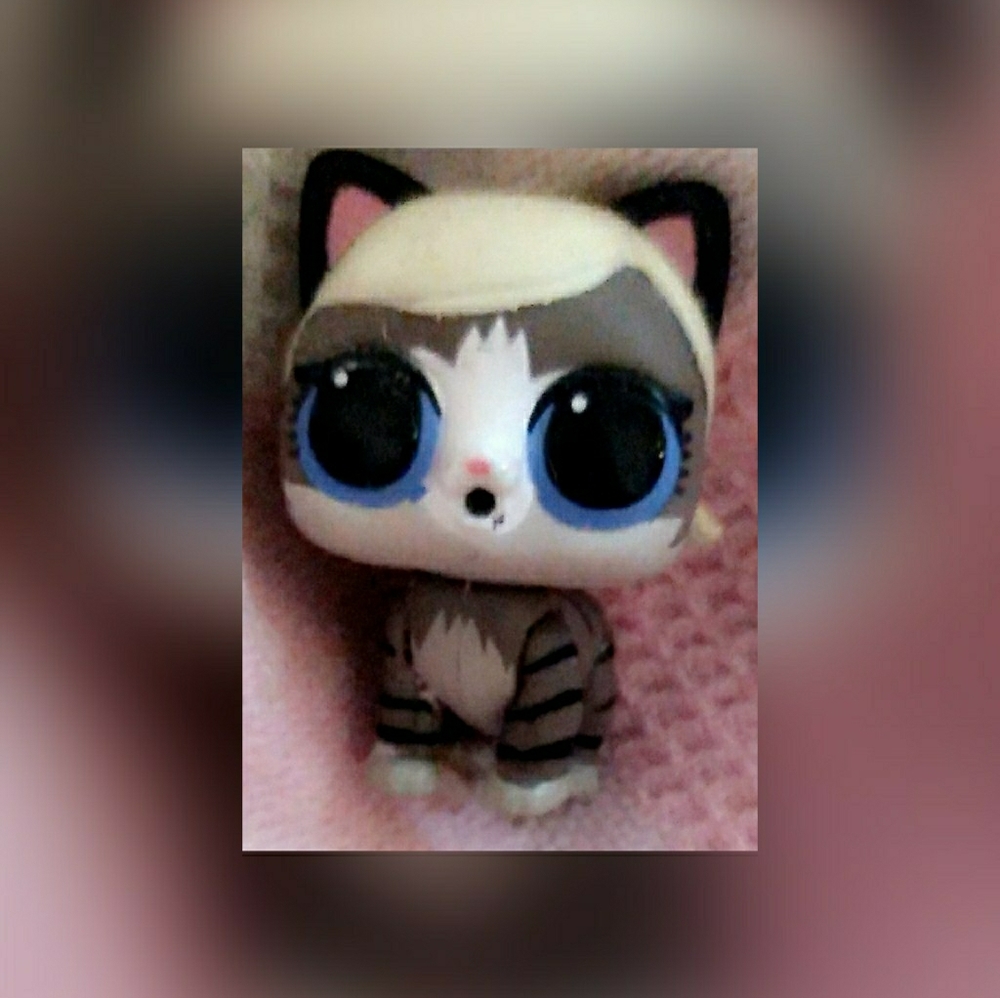 Lol doll pet